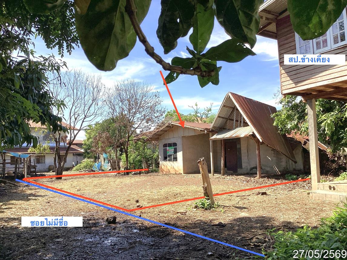 รูป บ้านเดี่ยว 73 ตร.วา พังโคน สกลนคร 286,000 - รูปที่ 11/24
