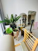 listing thumbnail image 3