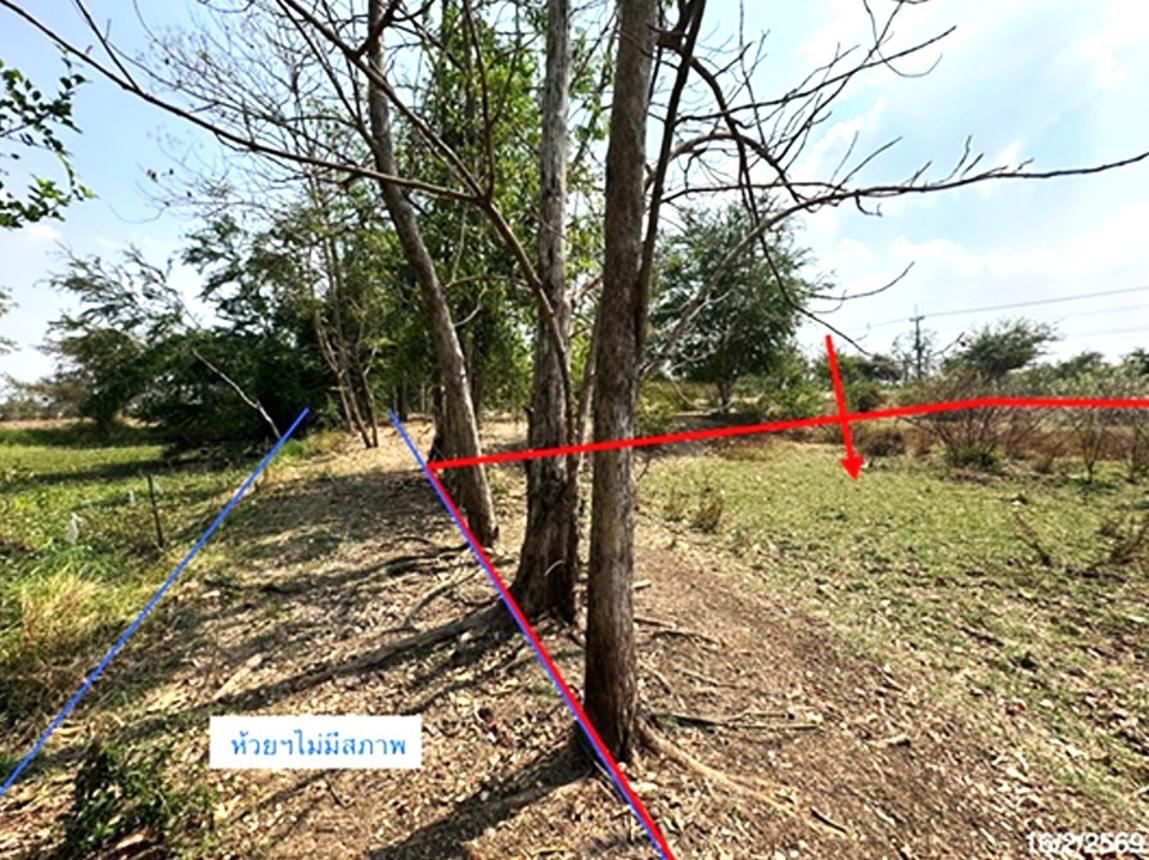 picture LAND 205 Sq.w. Dong Charoen Phichit for 431,000 - 9/16