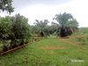 listing thumbnail image 11