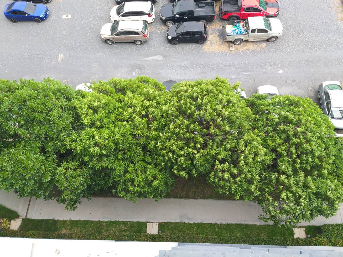 รูป ***ให้เช่าเดอะเมโทรโพลิส สำโรง คอนโดมิเนียม 1 ห้องนอน 1 ห้องน้ำ ขนาด 35 ตร.ม. ชั้น 7 ตึก C เฟอร์ครบ พร้อมเข้าอยู่ ปล่อยเช่า 11,500 บาท/เดือน - รูปที่ 8/8