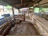 listing thumbnail image 21