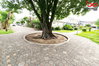 listing thumbnail image 16