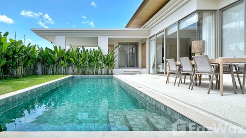 Trichada Azure 1866684