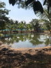 listing thumbnail image 13