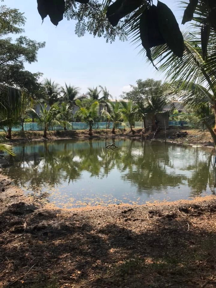 picture Land for Sale with Former Restaurant Building and Agricultural Garden - 14/14