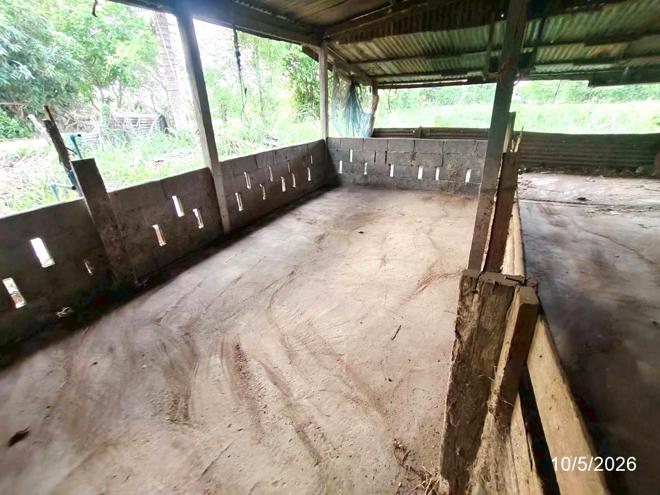 รูป บ้านเดี่ยว 830 ตร.วา บำเหน็จณรงค์ ชัยภูมิ 2.5M - รูปที่ 20/54