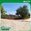 listing thumbnail image 11