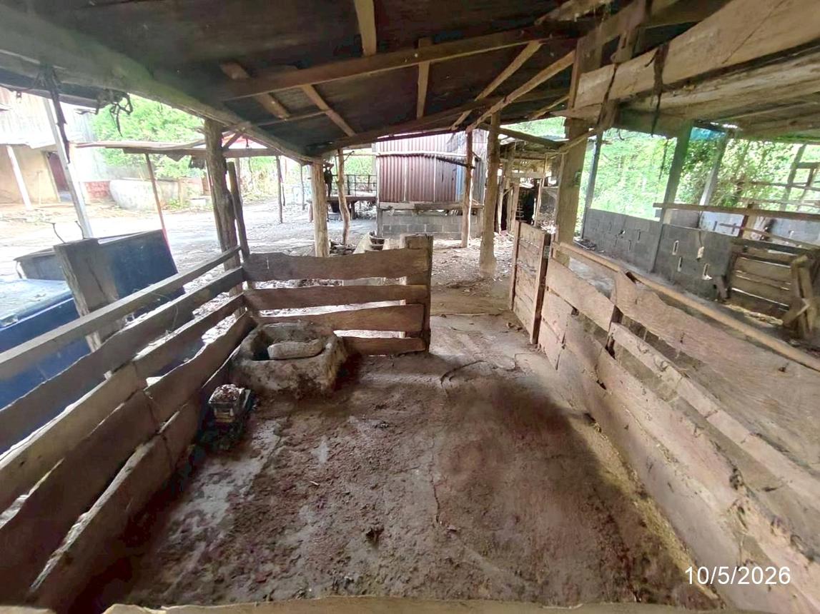 รูป บ้านเดี่ยว 830 ตร.วา บำเหน็จณรงค์ ชัยภูมิ 2.5M - รูปที่ 47/54