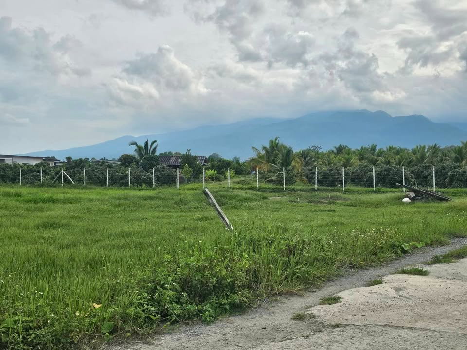 รูป ขาย! ที่ดินแม่ริม วิวดอยสุเทพ ทำเลชุมชน เหมาะสร้างบ้านหรือลงทุน T.063-6649056 - รูปที่ 1/4