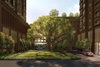 listing thumbnail image 7