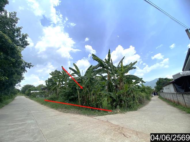 picture LAND 187.9 Sq.w. Tha Li Loei for 808,000 - 2/18