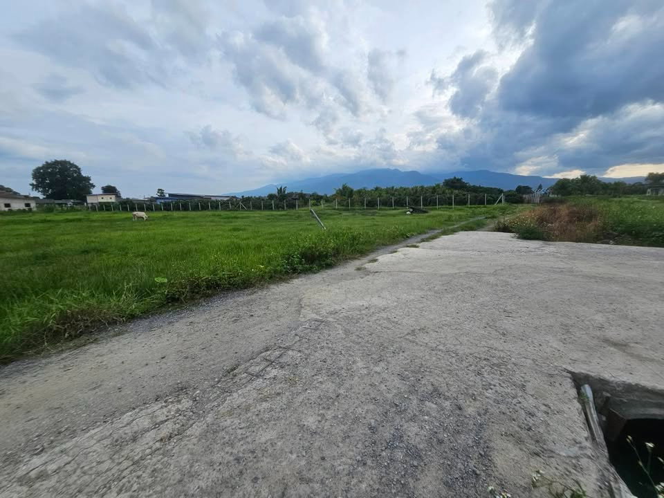 รูป ขาย! ที่ดินแม่ริม วิวดอยสุเทพ ทำเลชุมชน เหมาะสร้างบ้านหรือลงทุน T.063-6649056 - รูปที่ 2/4
