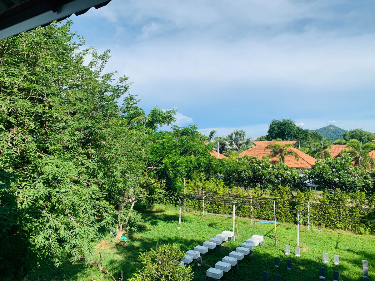 picture Café for Lease | Si Racha – Bang Phra, Chonburi - 9/20