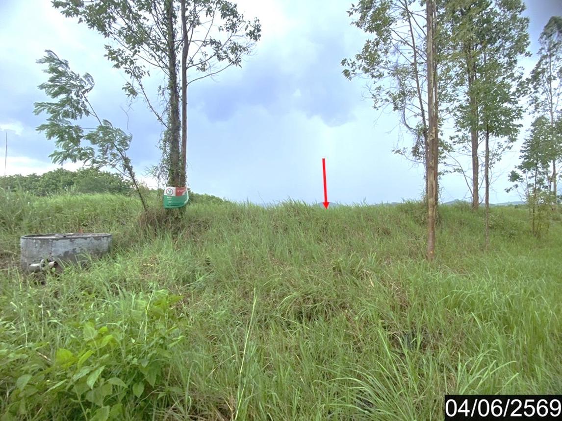 รูป ที่ดินว่างเปล่า 5579.1 ตร.วา ท่าลี่ เลย 1.5M - รูปที่ 9/14