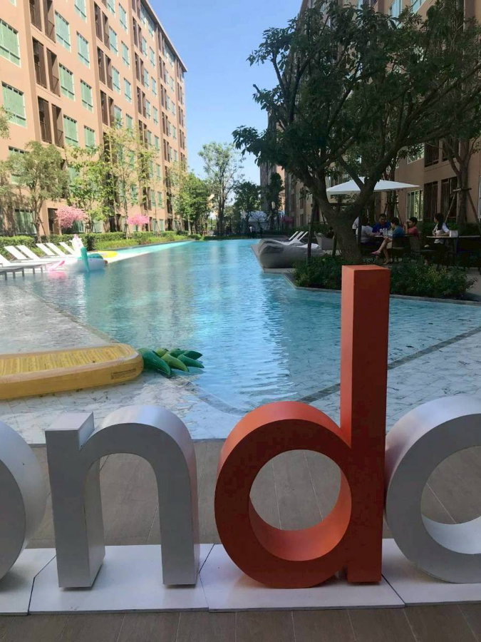 picture Patt220726  For Rent Dcondo Campus Kamphaeng Sean - 14/16