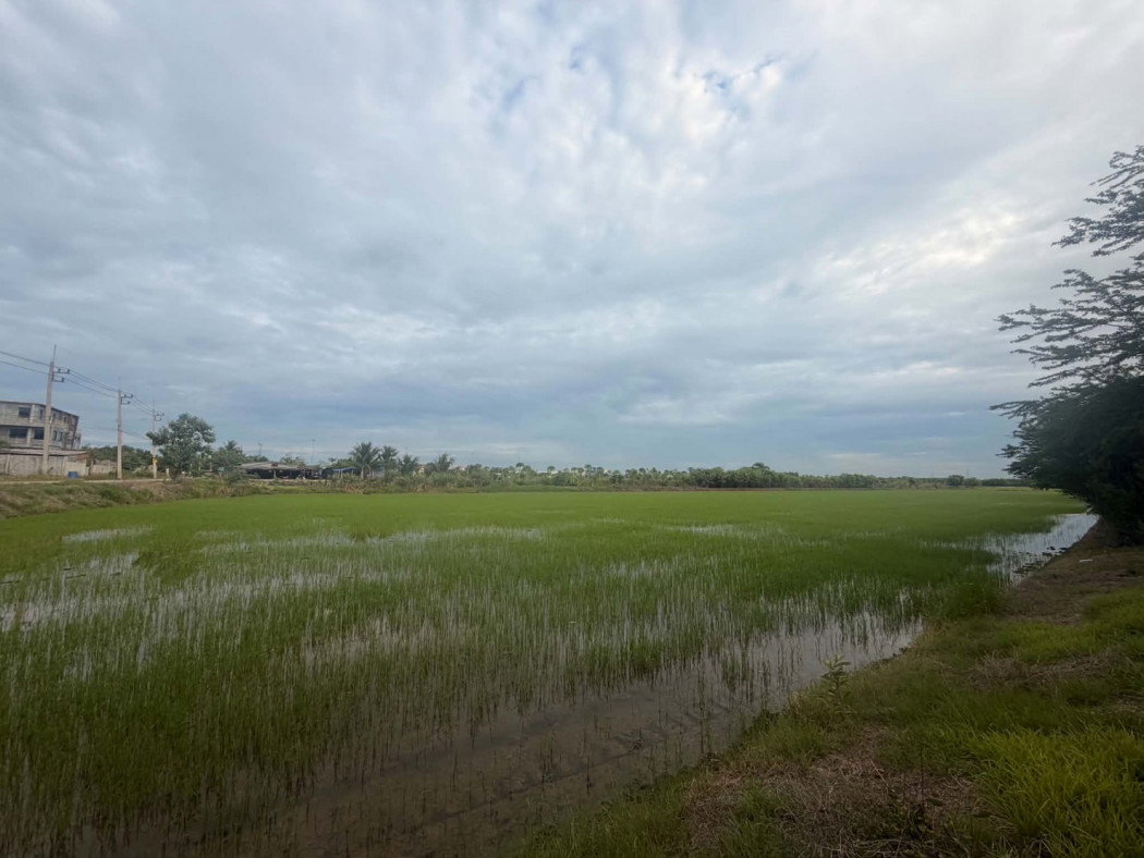 picture Beautiful large plot of land for sale, 26 rai, Mueang Pathum Thani District, Pathum Thani Province. - 4/11