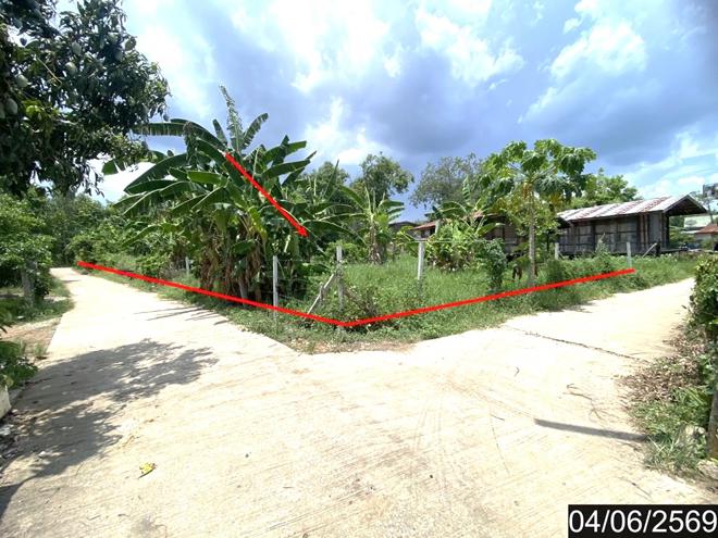 picture LAND 187.9 Sq.w. Tha Li Loei for 808,000 - 5/18