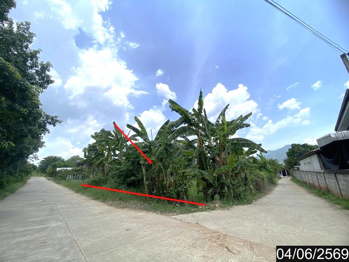 picture LAND 187.9 Sq.w. Tha Li Loei for 808,000 - 9/18