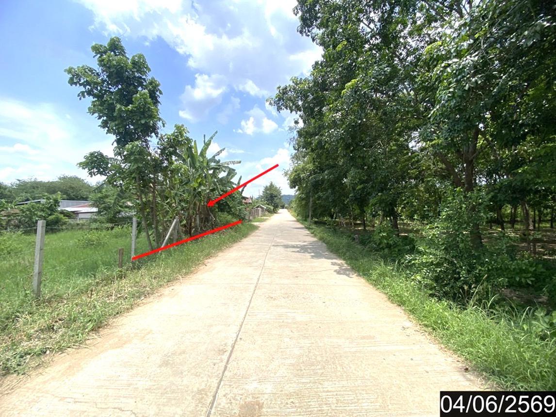 picture LAND 187.9 Sq.w. Tha Li Loei for 808,000 - 11/18