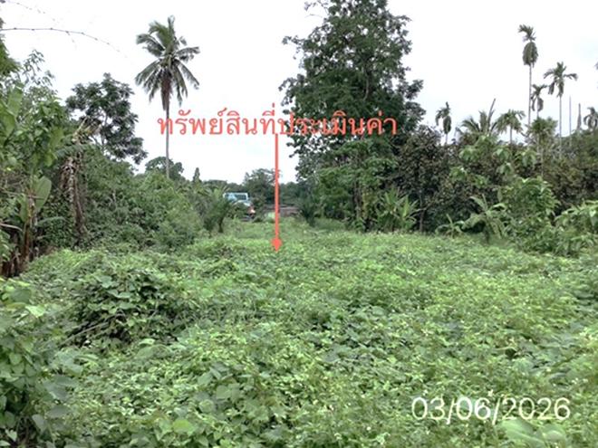 picture LAND 285.9 Sq.w. Palian Trang for 3.2M - 4/14