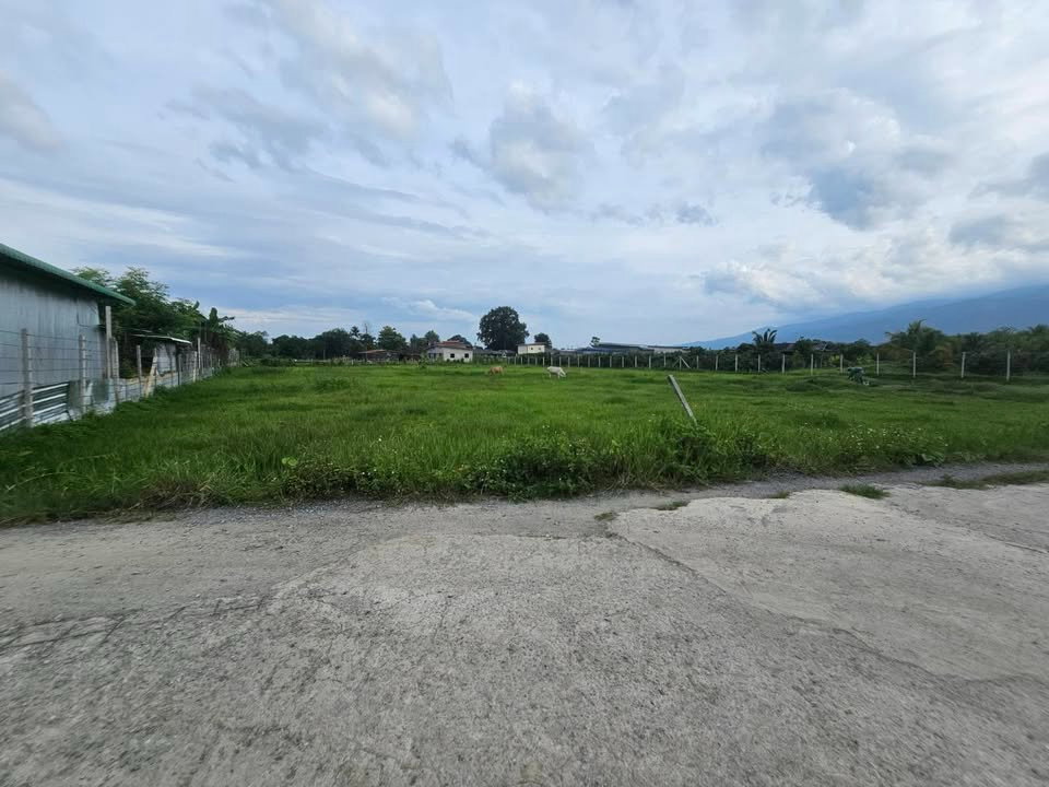 รูป ขาย! ที่ดินแม่ริม วิวดอยสุเทพ ทำเลชุมชน เหมาะสร้างบ้านหรือลงทุน T.063-6649056 - รูปที่ 3/4