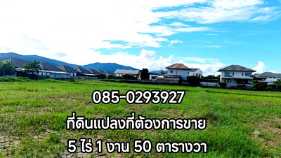 ที่ดิน เมืองเชียงราย เชียงราย : ด่วน!!!..ขายถูก ที่ดินเปล่า ใจกลางเมือง ใกล้โรงพยาบาลกรุงเทพเชียงราย อ.เมือง จ.เชียงราย