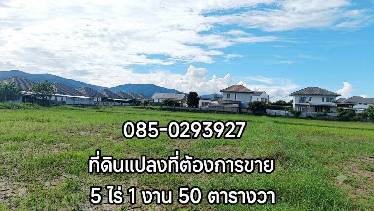 รูป ด่วน!!!..ขายถูก ที่ดินเปล่า ใจกลางเมือง ใกล้โรงพยาบาลกรุงเทพเชียงราย อ.เมือง จ.เชียงราย - รูปที่ 1/11