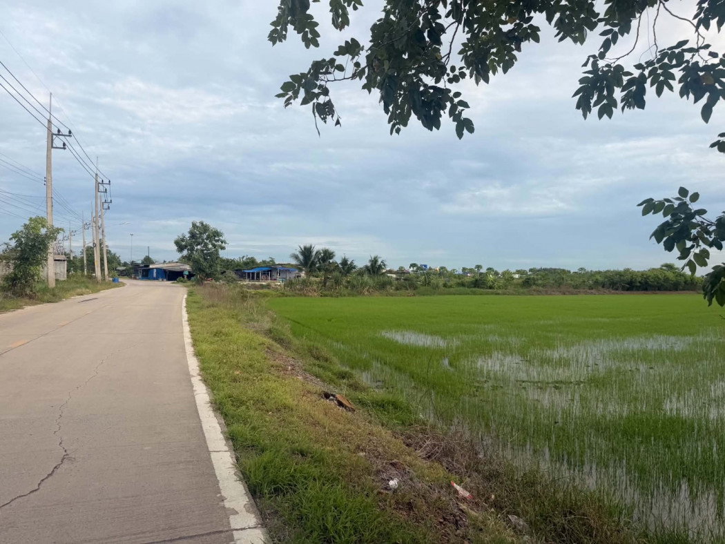picture Beautiful large plot of land for sale, 26 rai, Mueang Pathum Thani District, Pathum Thani Province. - 2/11