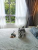 listing thumbnail image 8