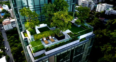 คอนโดให้เช่า : 🔥 ห้องว่าง พร้อมเข้าอยู่! The Bangkok Thonglor รีบจองก่อนหลุด 🔥