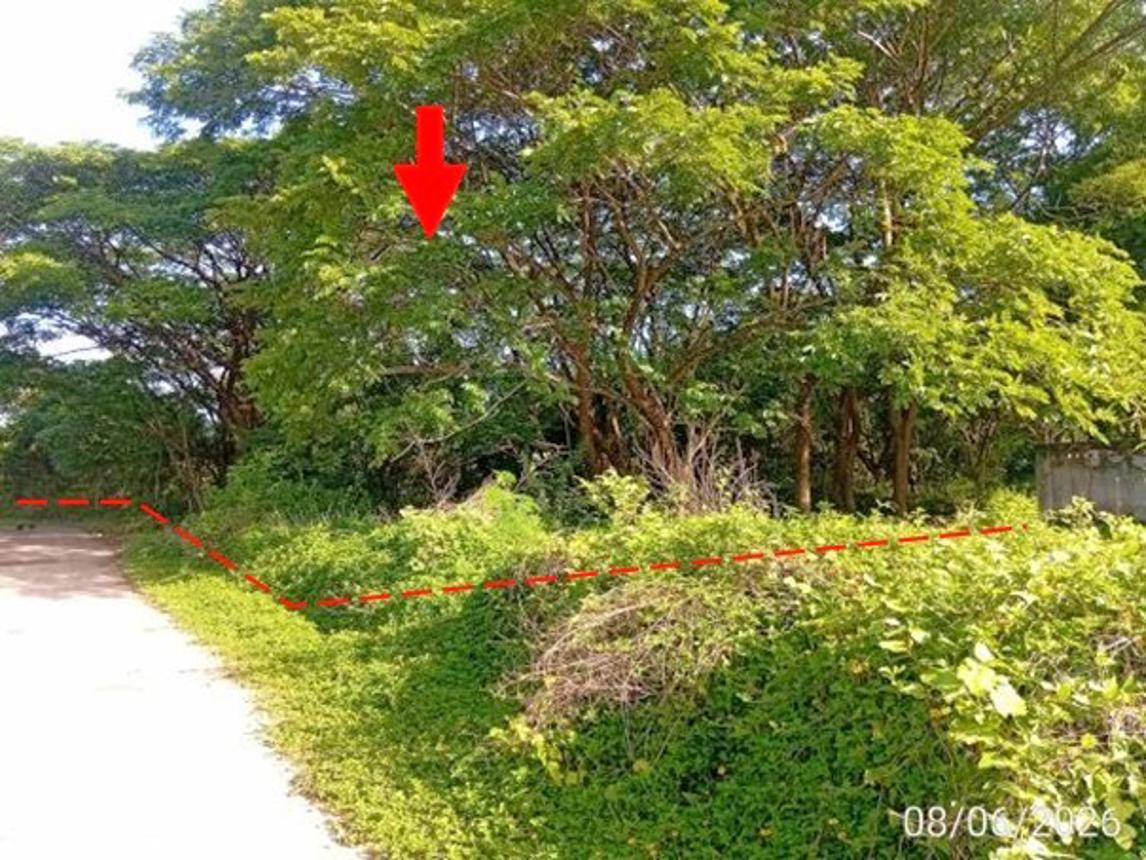 รูป ที่ดินว่างเปล่า 1862.1 ตร.วา เมืองอุดรธานี อุดรธานี 16.9M - รูปที่ 8/18