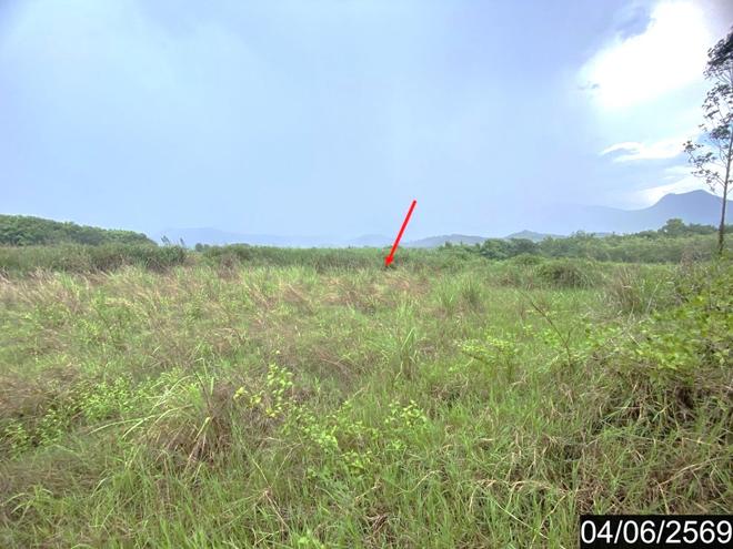 รูป ที่ดินว่างเปล่า 5579.1 ตร.วา ท่าลี่ เลย 1.5M - รูปที่ 3/14