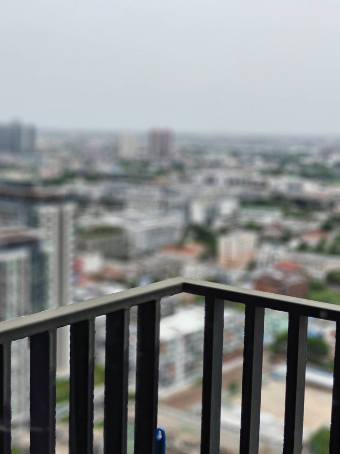 รูป Condo for RENT: The Line Sukhumvit 101 𝐒𝐢𝐳𝐞 : 33 sqm.  1 Bed 1 Bath /Corner / River View + Bang Kachao view / Balcony / High Ceiling 3.3m. on 26th - รูปที่ 13/16