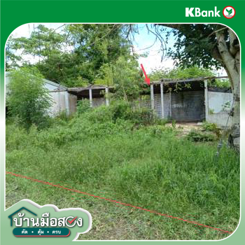 รูป เพิงอเนกประสงค์ 69 ตร.วา ปะคำ บุรีรัมย์ 263,000 - รูปที่ 18/20