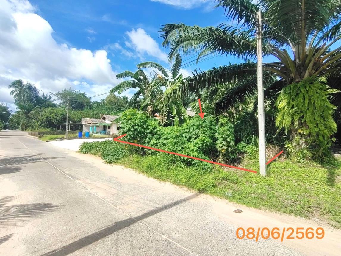 picture LAND 77 Sq.w. Khlong Thom Krabi for 616,000 - 7/14