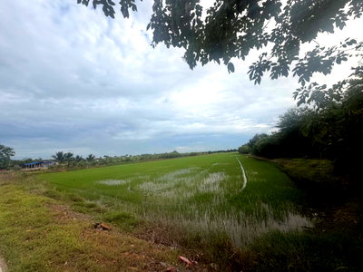 ที่ดิน เมืองปทุมธานี ปทุมธานี : ขายที่ผืนใหญ่สวยมาก 26 ไร่ อ.เมืองปทุมธานี จ.ปทุมธานี