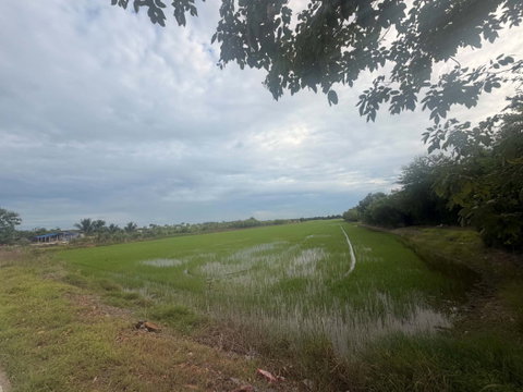 Beautiful large plot of land for sale, 26 rai, Mueang Pathum Thani District, Pathum Thani Province.