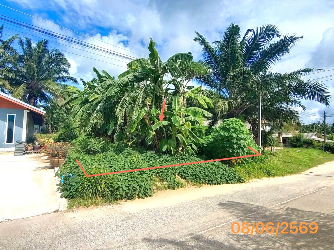 picture LAND 77 Sq.w. Khlong Thom Krabi for 616,000 - 8/14
