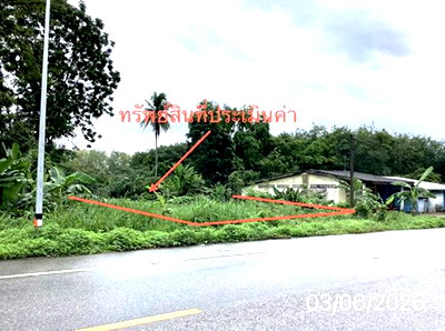 ที่ดินว่างเปล่า 285.9 ตร.วา ปะเหลียน ตรัง 3.2M