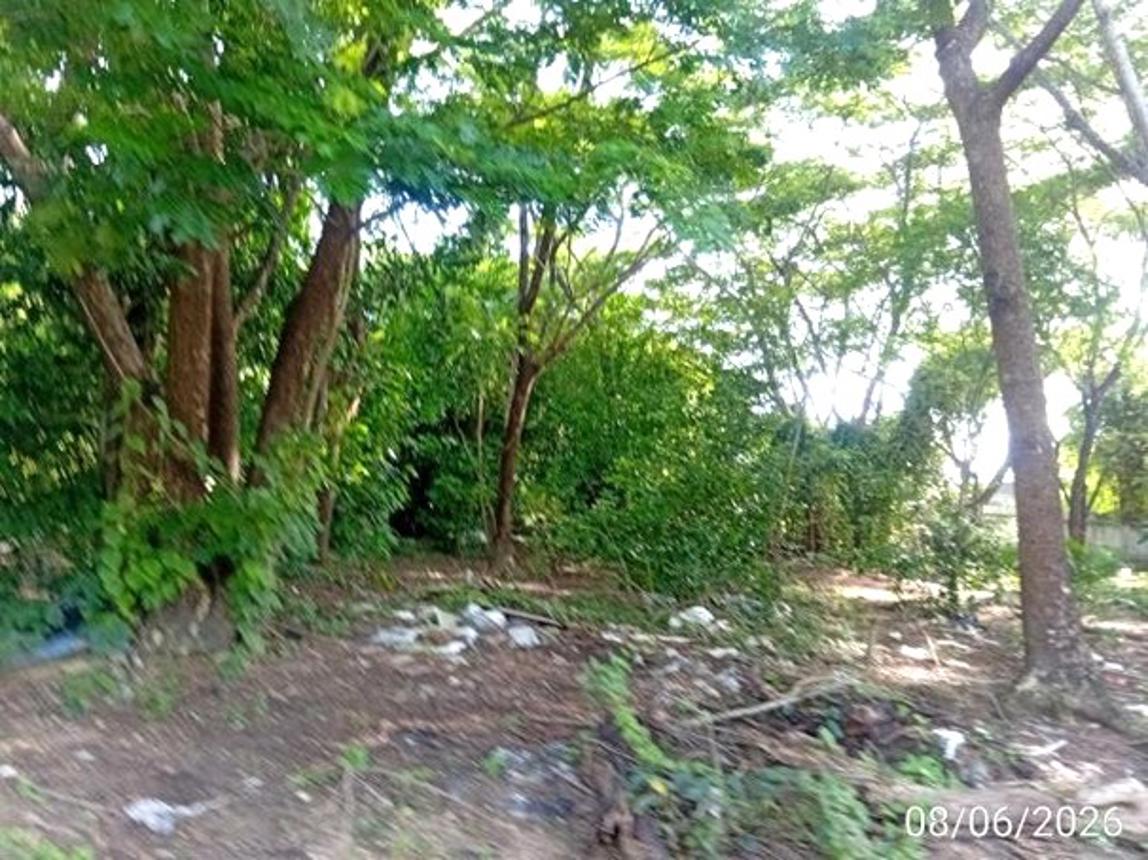รูป ที่ดินว่างเปล่า 1862.1 ตร.วา เมืองอุดรธานี อุดรธานี 16.9M - รูปที่ 12/18
