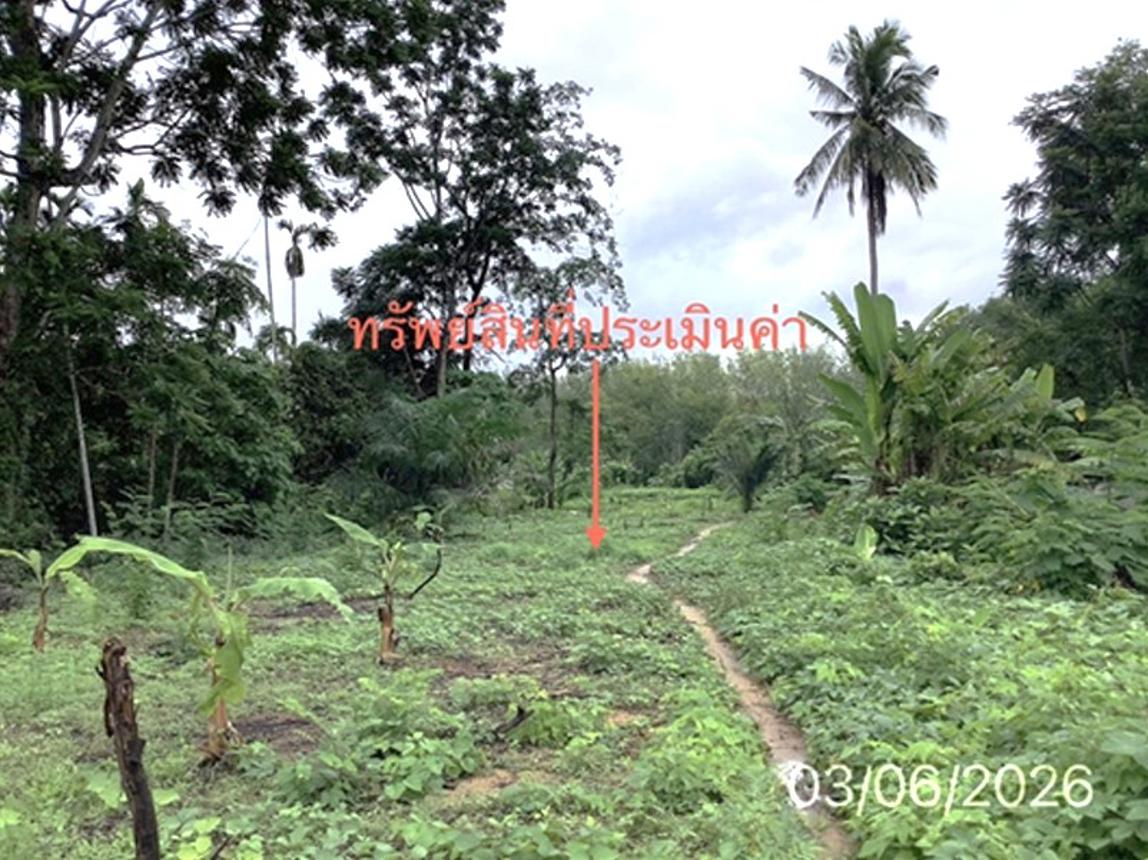 picture LAND 285.9 Sq.w. Palian Trang for 3.2M - 10/14