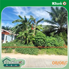 listing thumbnail image 11