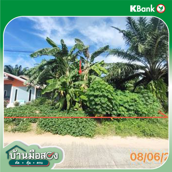 picture LAND 77 Sq.w. Khlong Thom Krabi for 616,000 - 12/14
