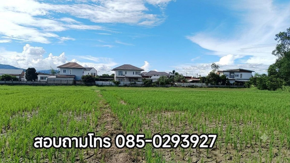 รูป ด่วน!!!..ขายถูก ที่ดินเปล่า ใจกลางเมือง ใกล้โรงพยาบาลกรุงเทพเชียงราย อ.เมือง จ.เชียงราย - รูปที่ 2/11