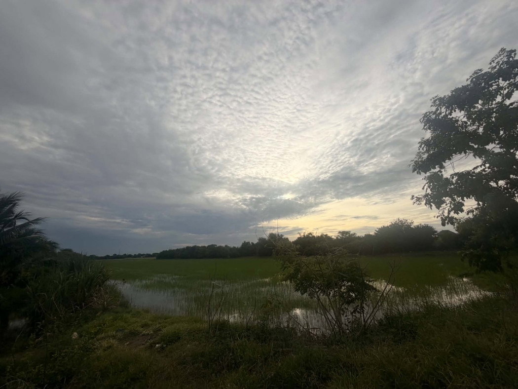 picture Beautiful large plot of land for sale, 26 rai, Mueang Pathum Thani District, Pathum Thani Province. - 7/11