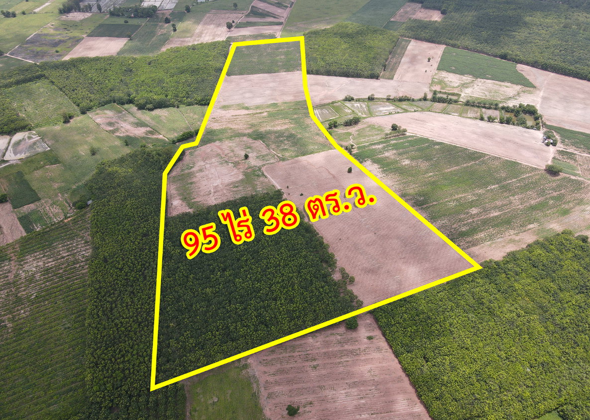 รูป ขายที่ดิน ตำบลตาลเลียน อำเภอกุดจับ จังหวัดอุดรธานี - รูปที่ 1/14