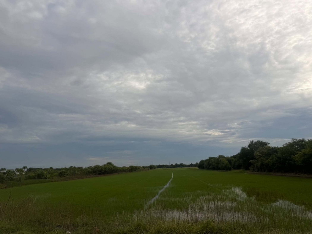 picture Beautiful large plot of land for sale, 26 rai, Mueang Pathum Thani District, Pathum Thani Province. - 9/11
