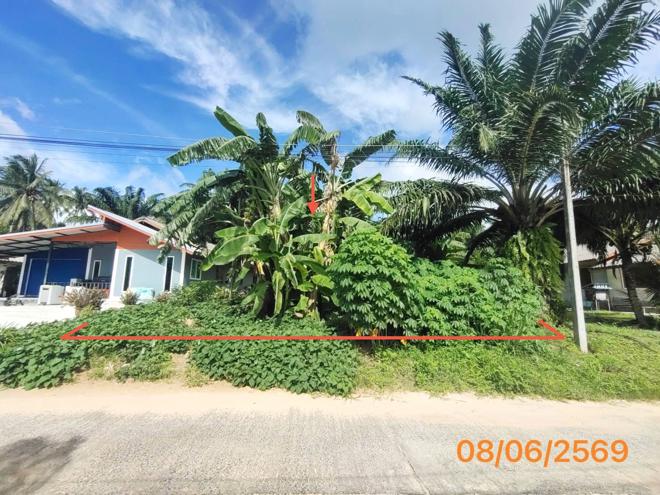 picture LAND 77 Sq.w. Khlong Thom Krabi for 616,000 - 1/14