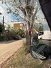 listing thumbnail image 19
